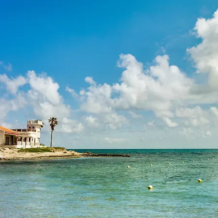 Cosy Flat In The Centre Lejlighed Torrevieja