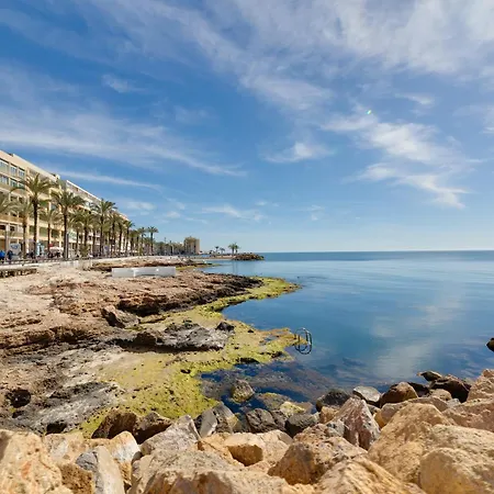 Cosy Flat In The Centre Lejlighed Torrevieja